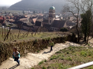 Exploring the hillside of  Eguisheim